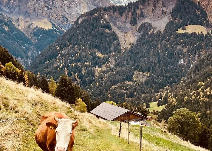 Alpage Le Pont Σπίτι διακοπών *